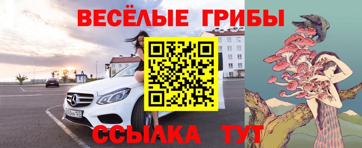 Псилоцибиновые грибы Psilocybine cubensis  Вход с VPN  Лыткарино  Псилоцибиновые грибы ЛСД 
